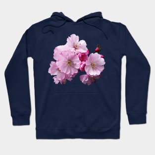 Cherry Blossoms - Closeup of Cherry Blossoms Hoodie